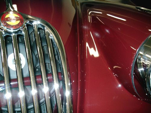 Jaguar