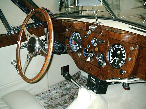 Jaguar