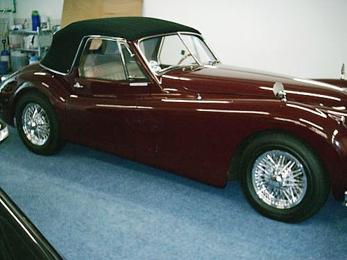 Jaguar